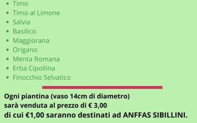 Le piantine aromatiche per Anffas Sibillini: l’iniziativa di DaMa dei Fiori a Sarnano
